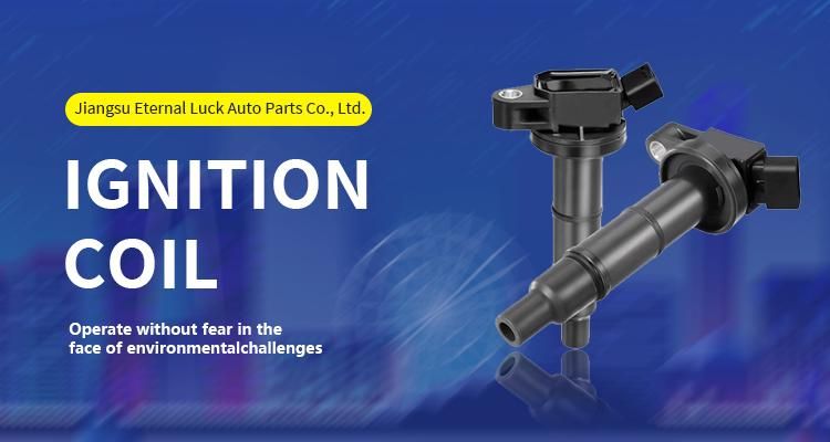 22448-6n015 Auto Parts Ignition Coil for Nissan with Factory Price