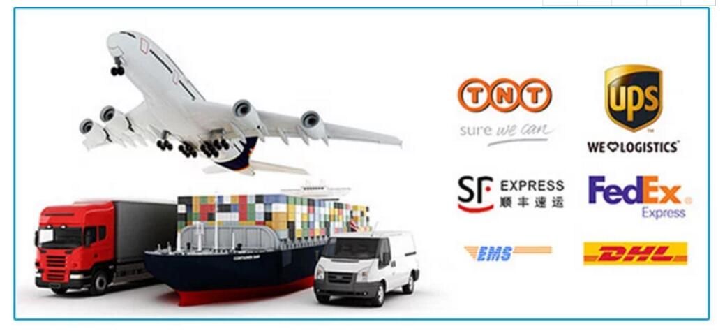 Se-4891L at The End of The Steering Tie Rod End for Auto Parts Is Suitable for Nissan Patrol Gr II Wagon.