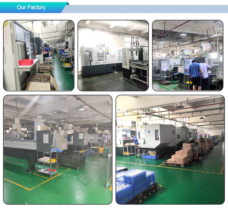 13gd High Quality Precision Universal Joint