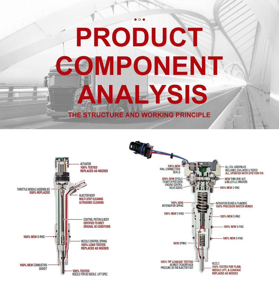 Common Rail Injection Diesel Injector for Truck OEM 2645A747