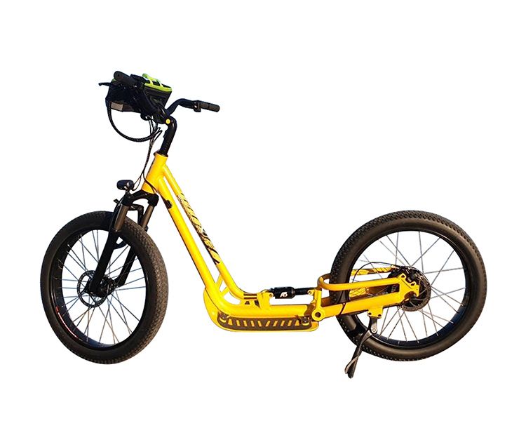 Lohas Powerfull Electric Scooter High Speed Electric Scooter
