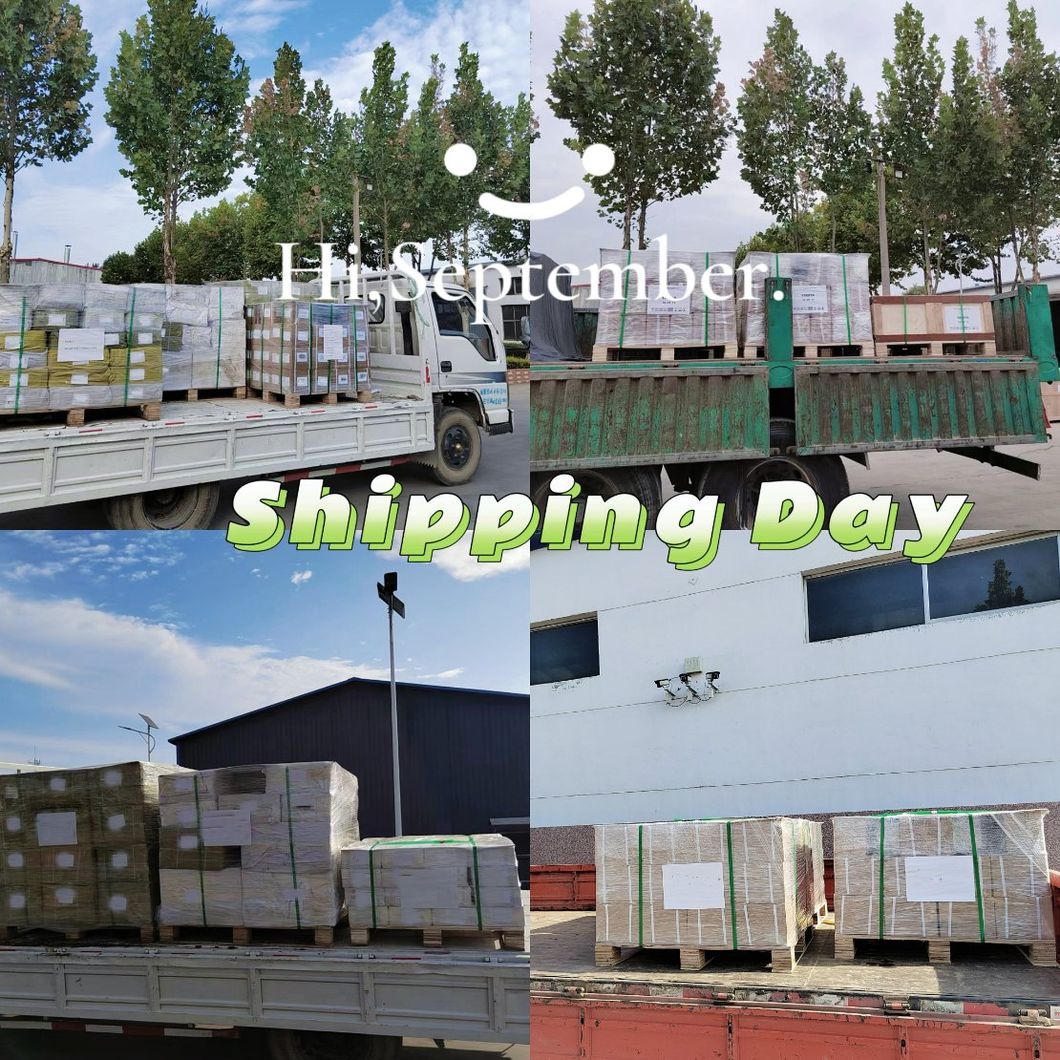 Fast Delivery Factory Price CE Certification 4t Low Ceiling Car Lift 2 Post