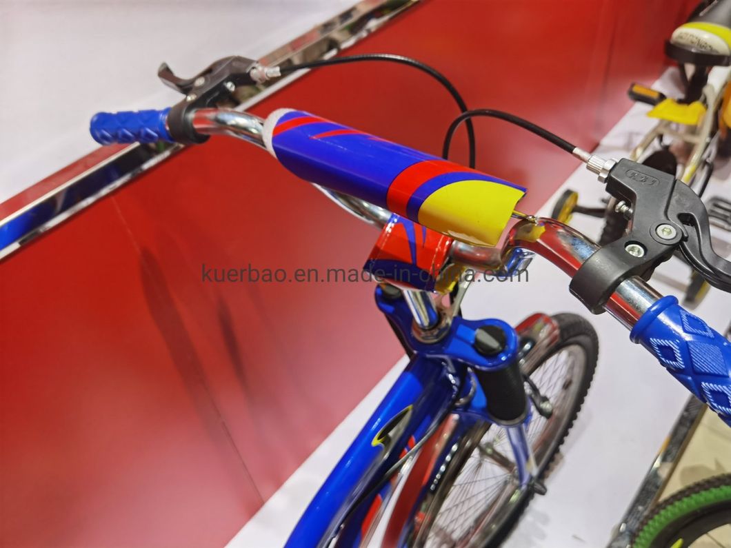 Factory Direct Children Mountain Bike Iron Frame Can Be Customized