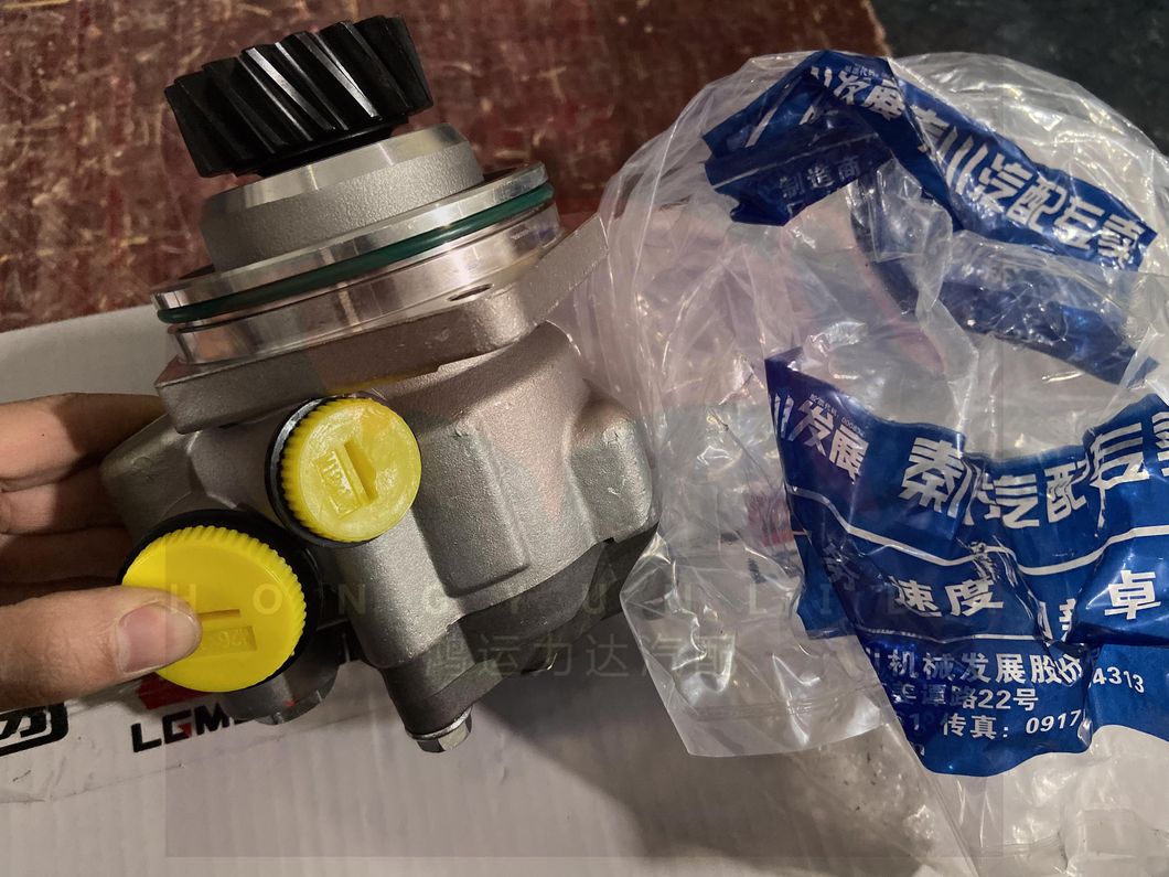 Booster Pump Wg9731471025 for Sinotruk Parts-HOWO 70t