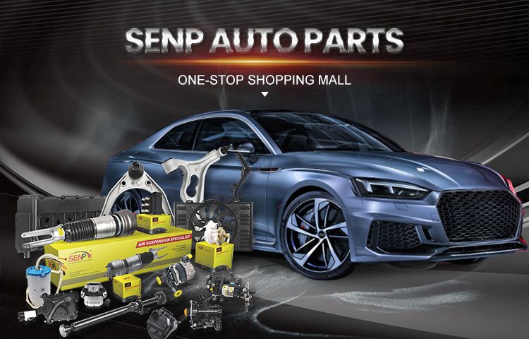 Senpei Auto Parts High Quality Rear Shock Absorber/Left OEM Lr031666 for Land Rover Freelander 2ND Generation 2006-2014