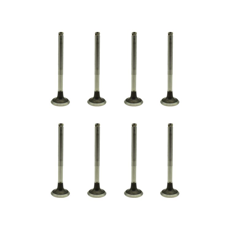 Exhaust Valve 7701469373 Engine Valve for Ren Ault Kangoo Express 1.9d-F8q