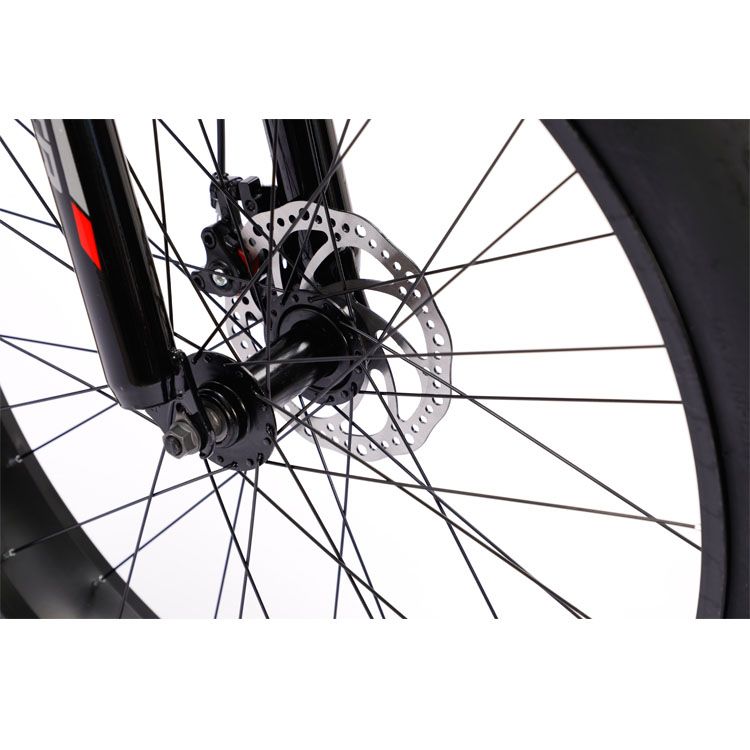 Top Selling 26 Inches Steel Frame Snow Bicycle MTB Mountain Bike