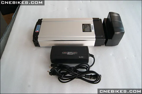 36V 10ah Rack Type Battery with Charger for Bike