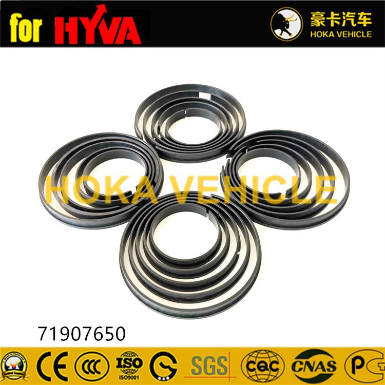 Genuine Hyva Spare Parts Seal Kit 71907650K for Cylinder 157-5