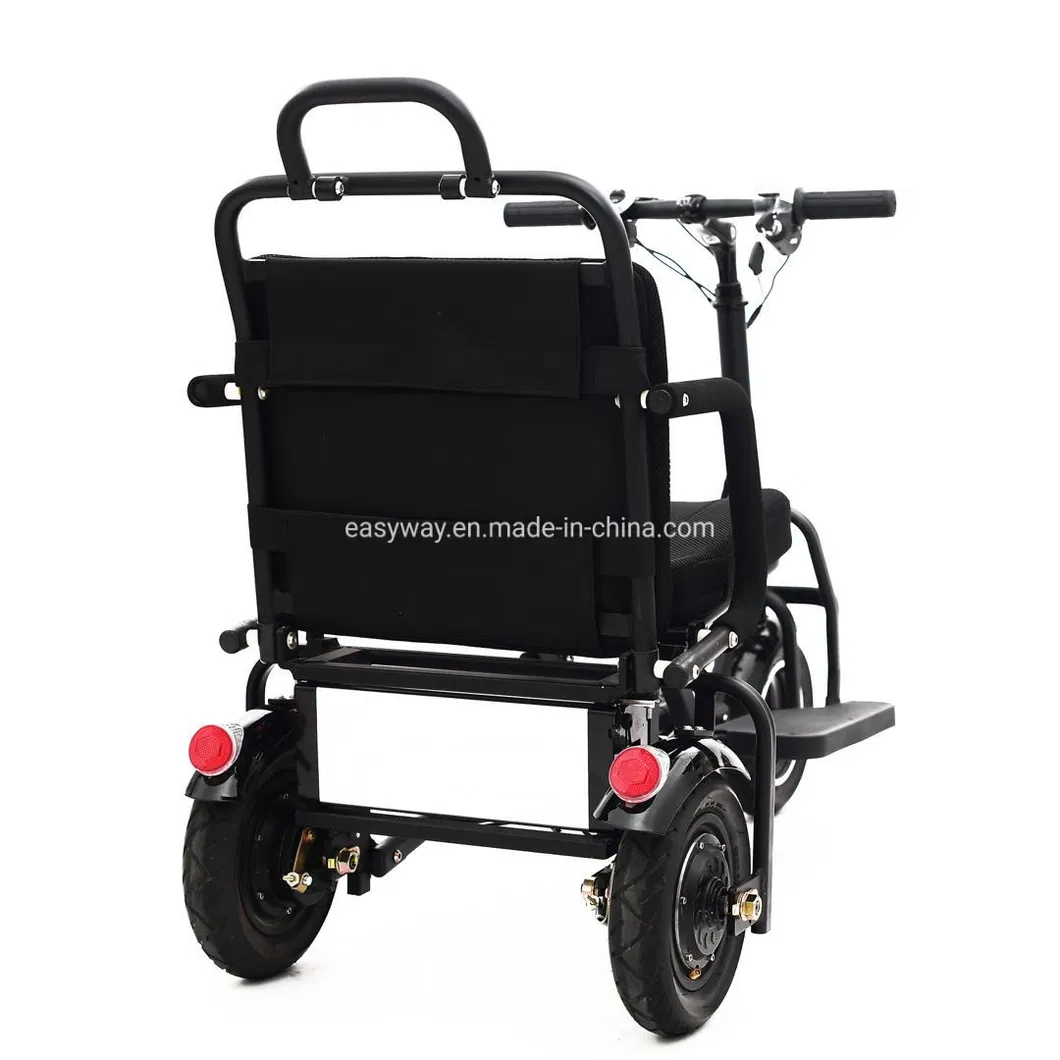 Smart Electric Mobility Recreational Scooter with 3 Wheels