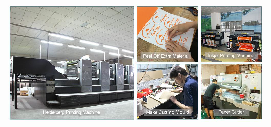 Digital Printing Sticker Material for Bus and Car Decoration Sticker