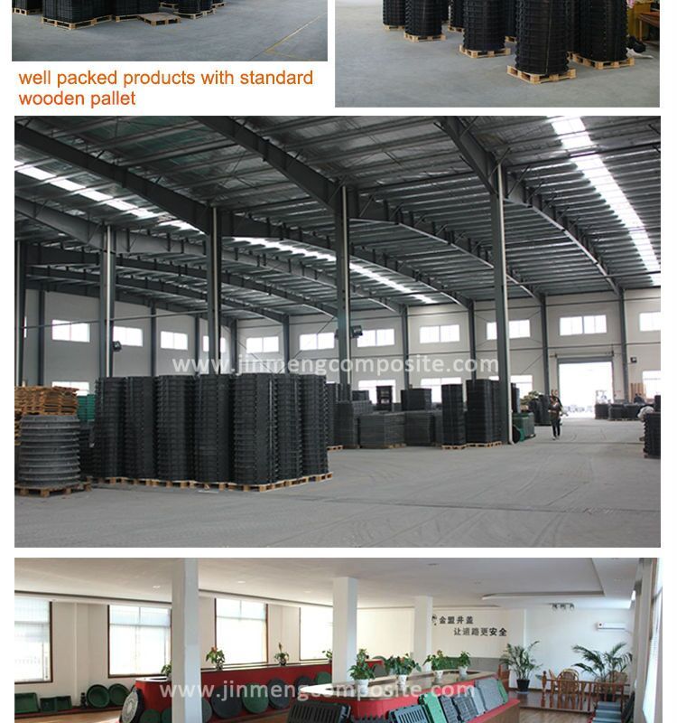 Anti-Corrosion Anti Bird Droppings Cover/Resin Manhole Cover