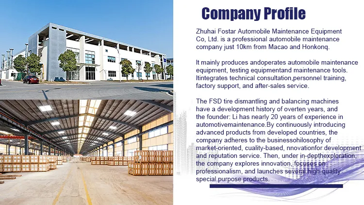 Fostar OEM Warring Eagle Fsd509 Tire Disassembly and Assembly Machine, for Suitable for All Tire Sizes, No Damage to The Hub
