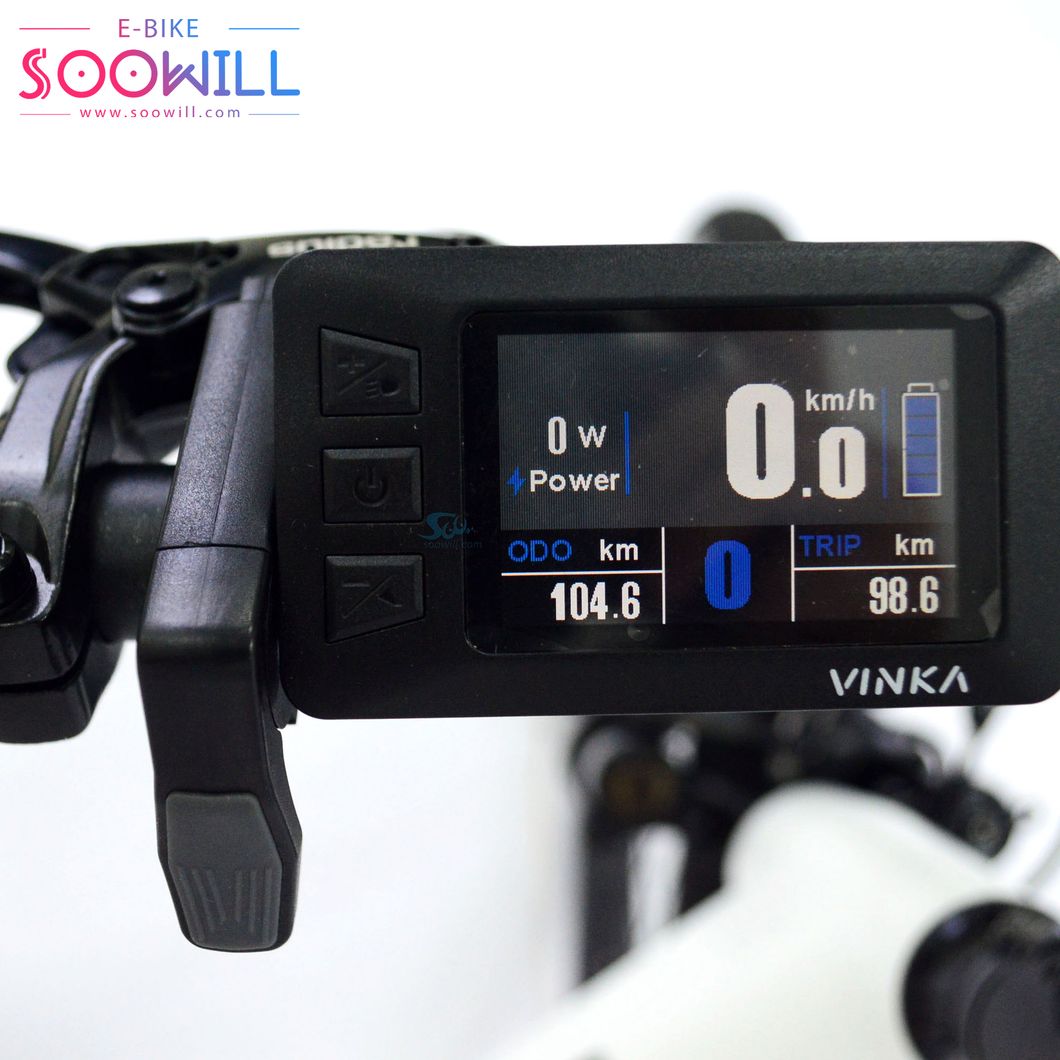 Brand New Original Motor Drive Module Steel 250W 36V 12ah Bike Electric Bicycle with Cheap Price