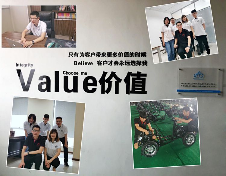 Light Folding Electric Bike with Basket and LED Headlight (FB-006)