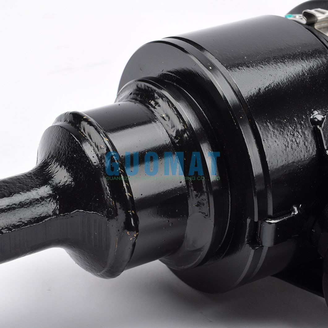 3D0616039 Front Left Air Suspension Spring for Volkswagen Phaeton