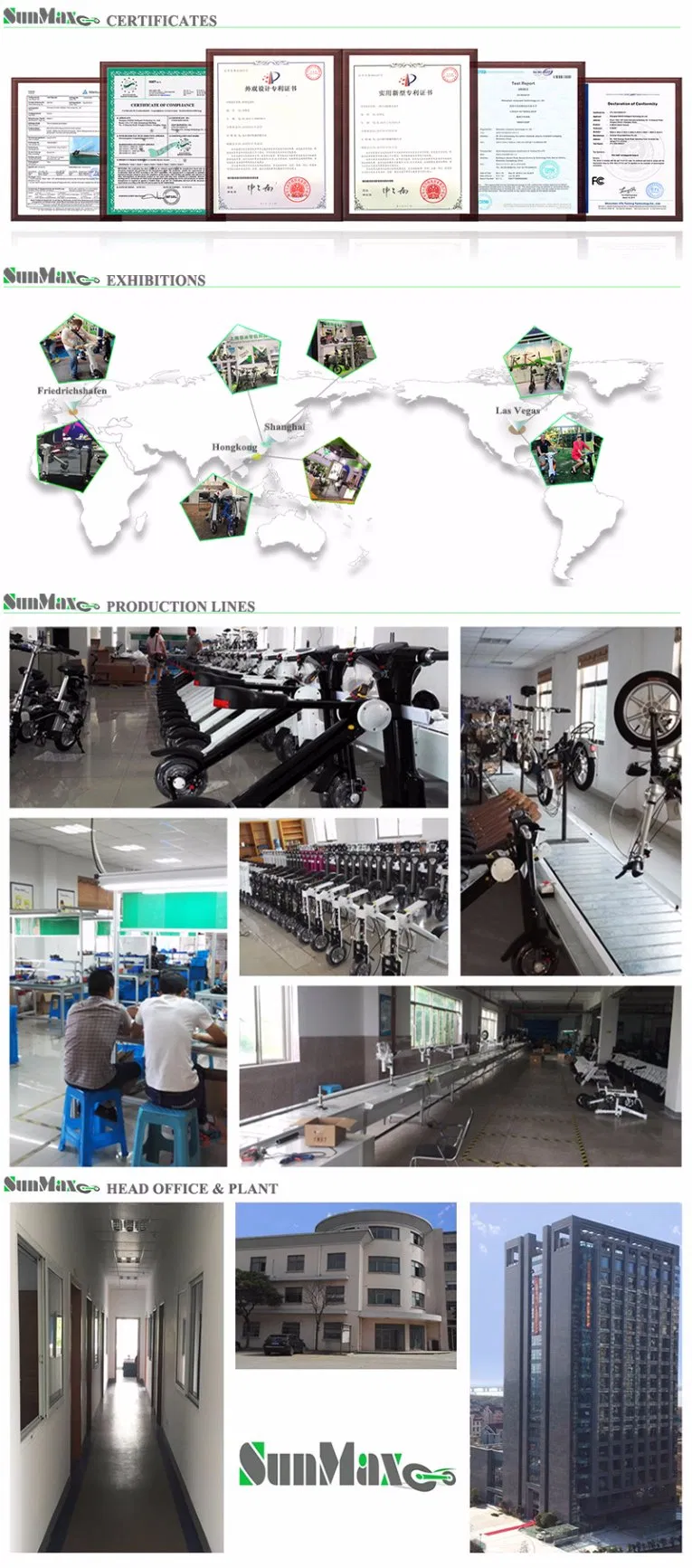 Pink Color 48V 2 Wheel Electric Bike with Patents