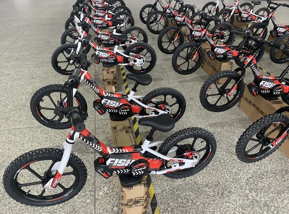 New Light Mini Kid Electric Balance Bike