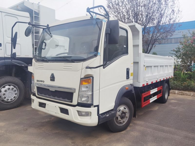 Sinotruk HOWO Light Small 3tons Left Rubber LHD Right Hand Drive Rhd 4tons 5tons 6tons Tipper Dump Truck