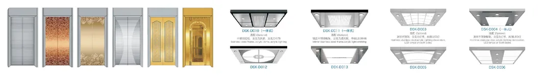 DSK VVVF Passenger Elevator Panoramic Elevator Sightseeing Elevator Villa Home Elevator with Glass Cabin