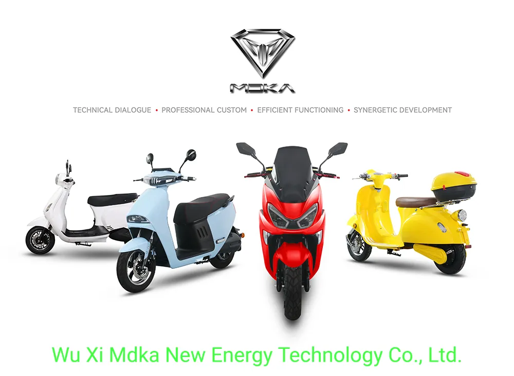 Y1 Easy Carry Good Quality Lithium Battery Long Range Electric Scooter Citycoco