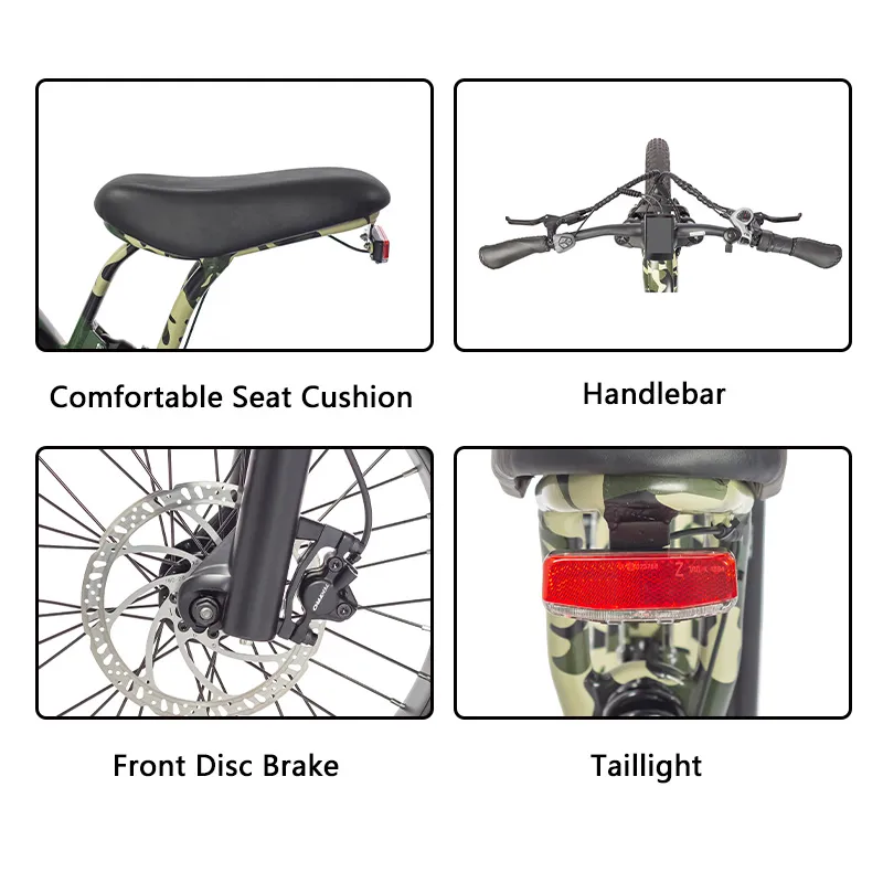 750W Motor Electric Bikes with Big Capaicty Battery 20 Inch Suspension Ebike