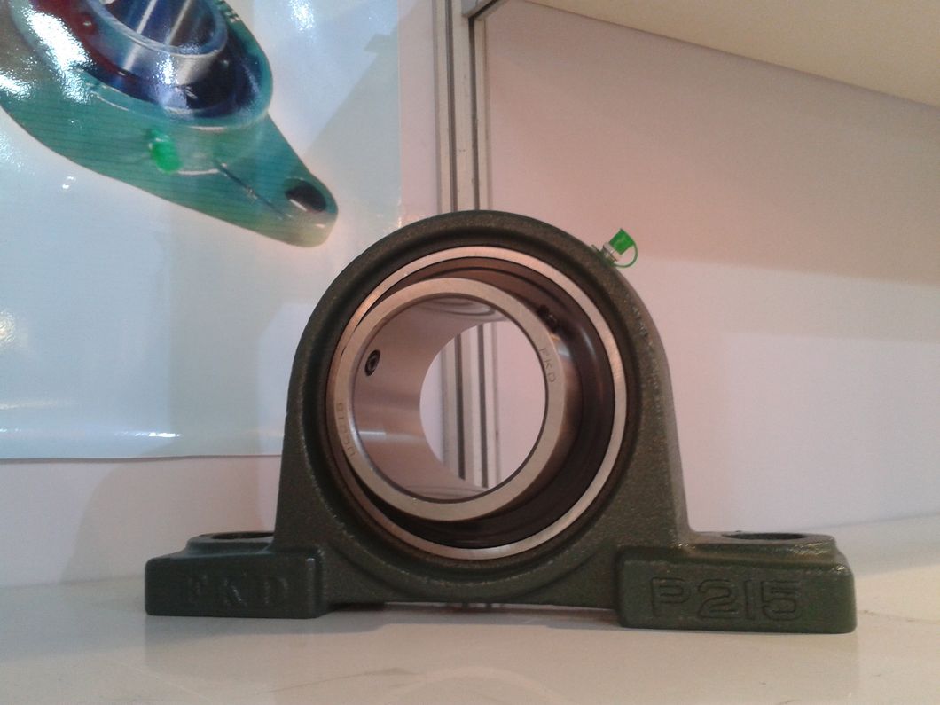 Pillow Block Bearing with Heavy Duty From Fkd Bearing Factory UCP314