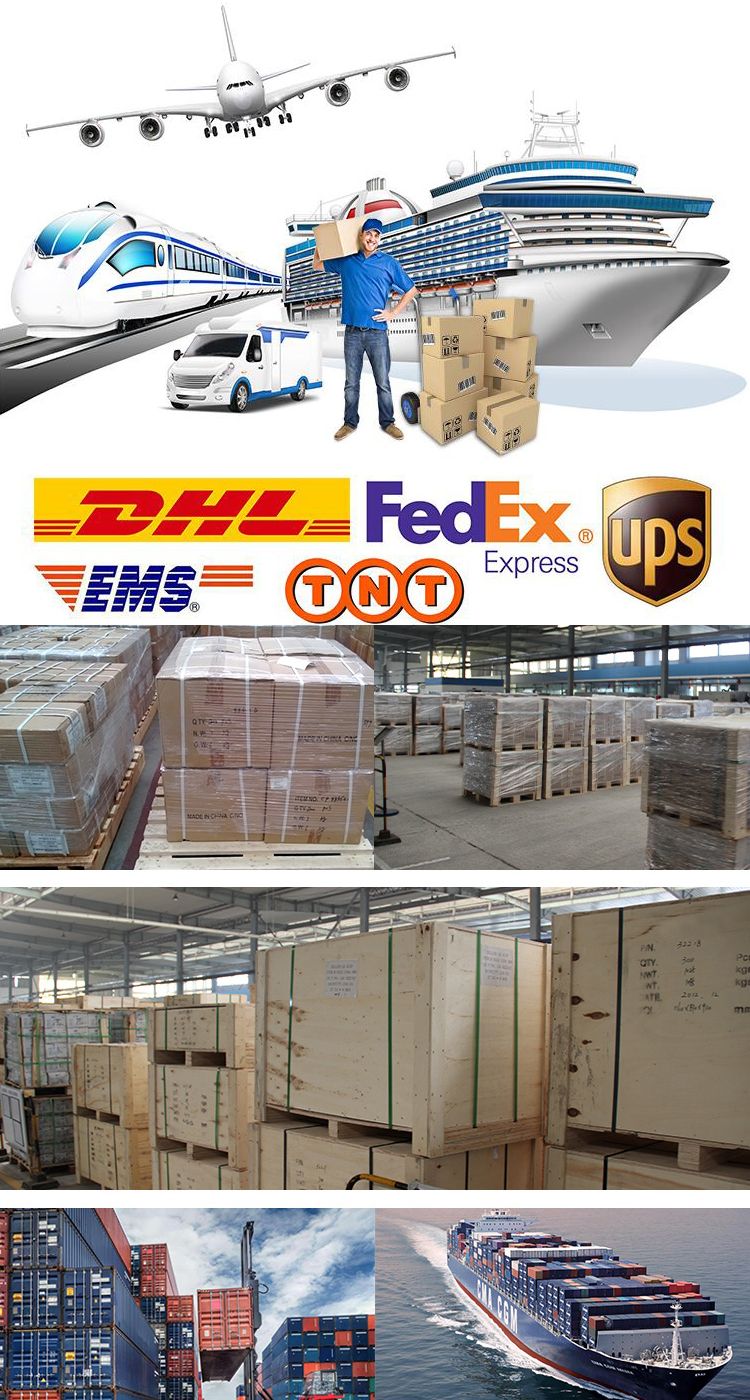 Focos LED C6 H1 H3 H11 H8 Hb3 Hb4 H4 H7 LED Canbus C6 Auto Automobile Car Headlight Bulbs 6000K 3000K Kit Luces LED Bulbs C6