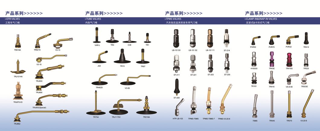 Himile Car Tire Valve Tr500 High Quality Valve, Bus and Heavy-Duty Truck Valves Tubeless Tyre Valves