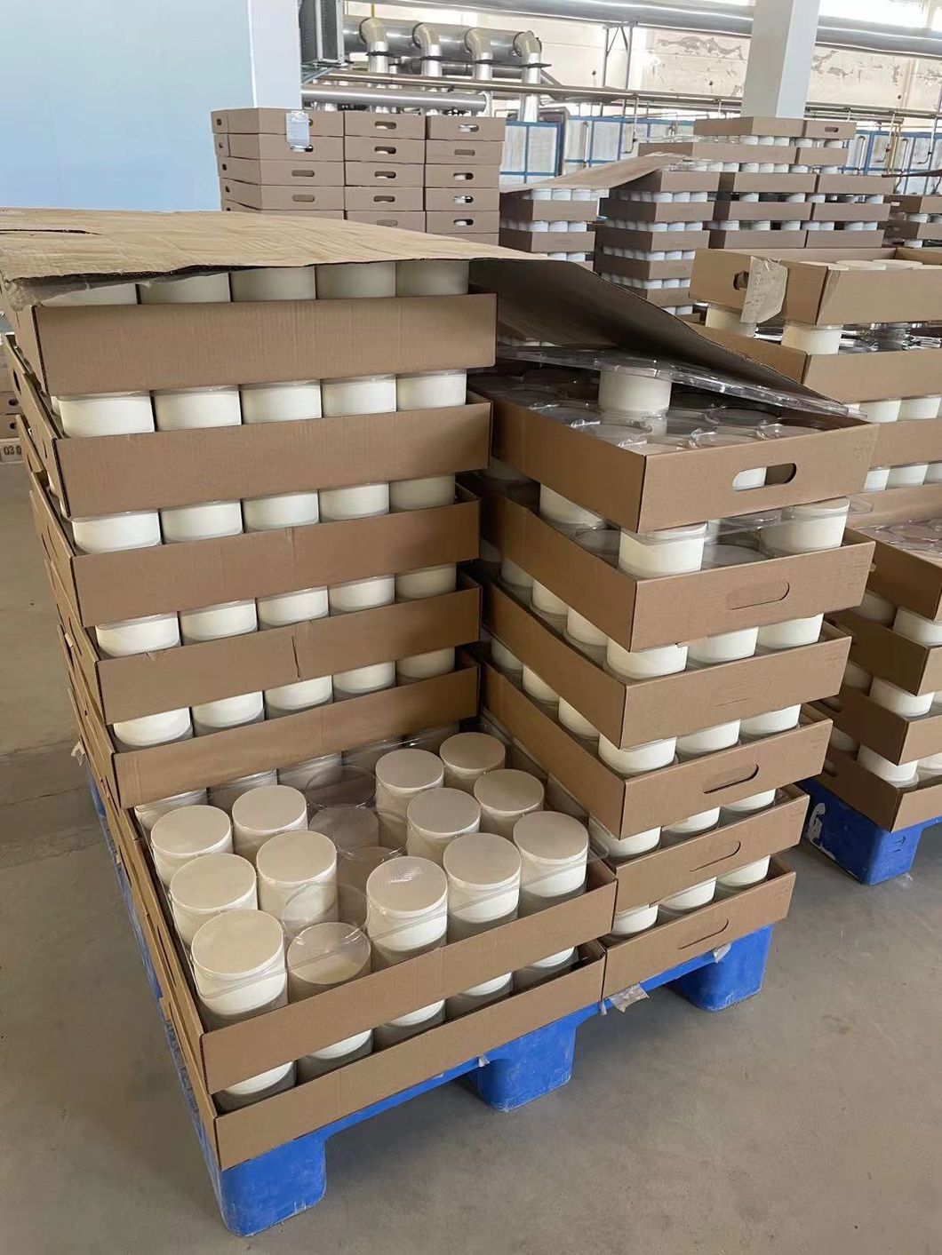 400 Cell Cordierite Diesel Particulate Filter (DPF) for Diesel Engine
