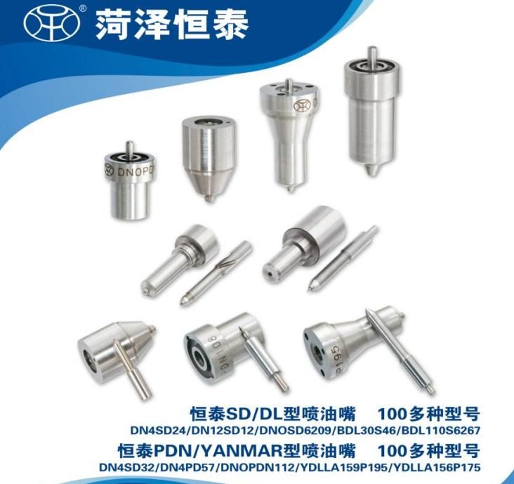 Head Rotor, Plunger, Delivery Valve, Repair Kits, Valve Plate, Control Valve Diesel Engine Parts Fuel Injection Dsla151p1302