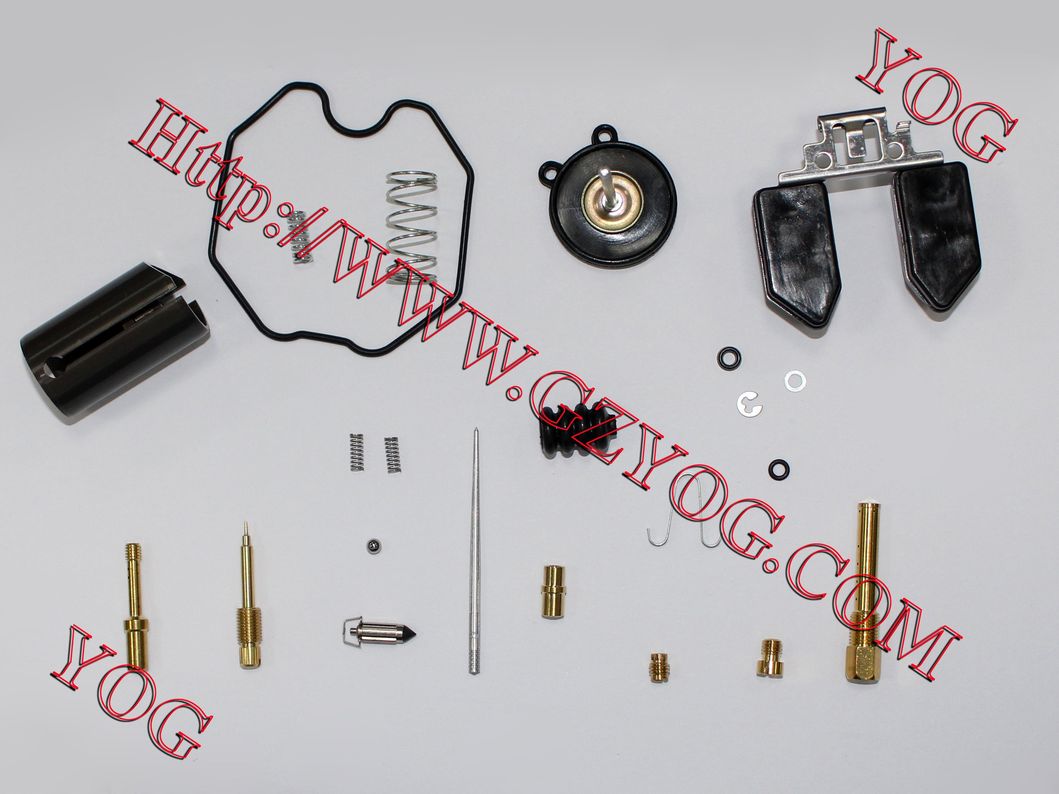 Motorcycle Spare Parts Motorcycle Carburetor for Fz16 En125 Gn125 Gn125h