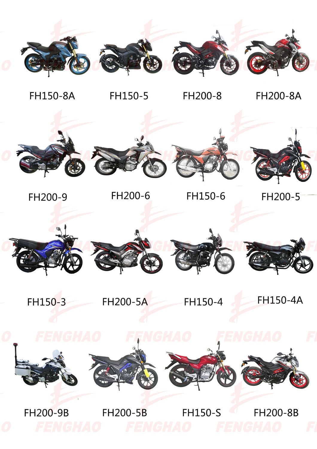Hot Fashion Outdoor Wholesale Durable High Speed Sports 300cc Mastiff China Motorcycle Fhxre300
