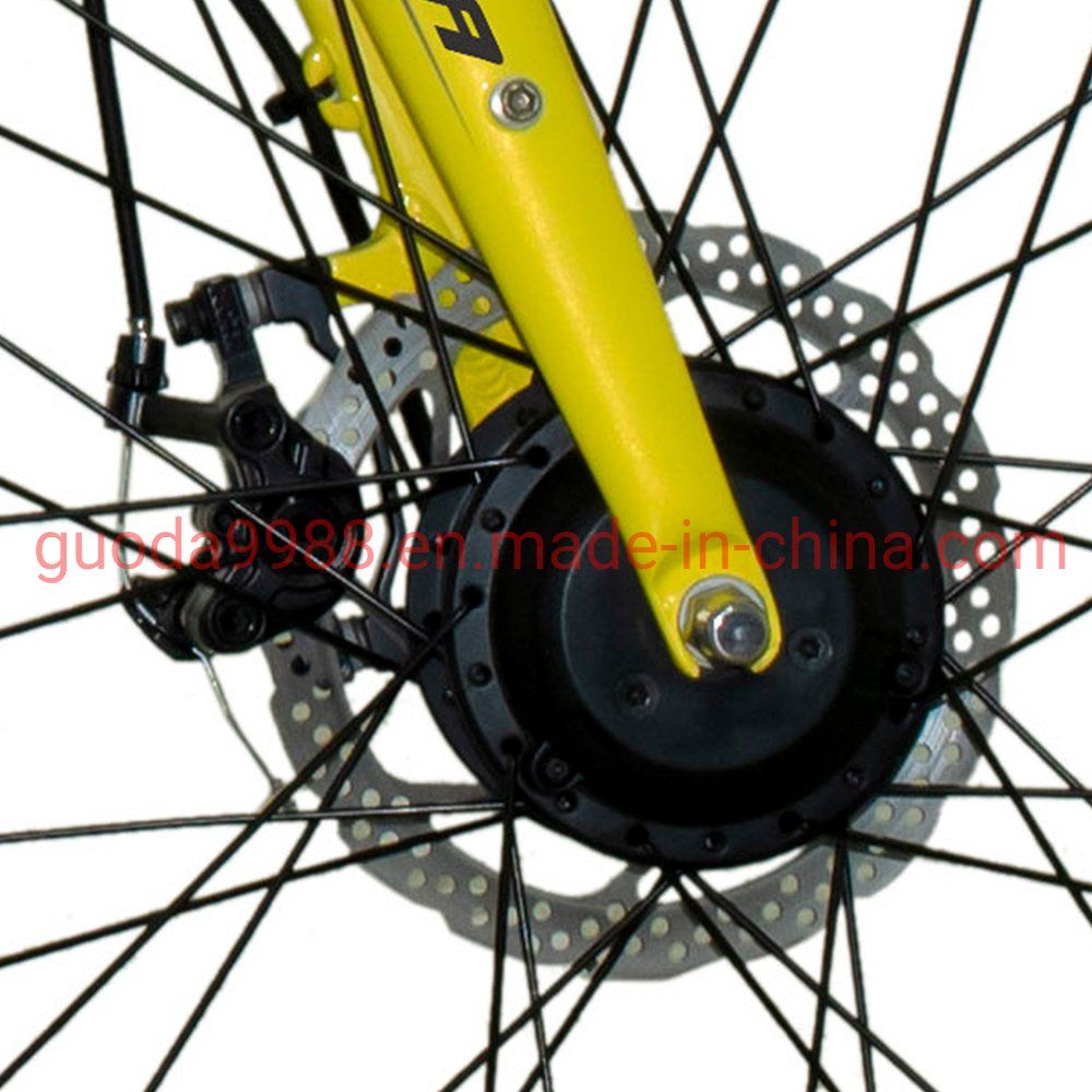 20-Inch Al Alloy Folding Electric Bike with Disc Brake 36V-250W