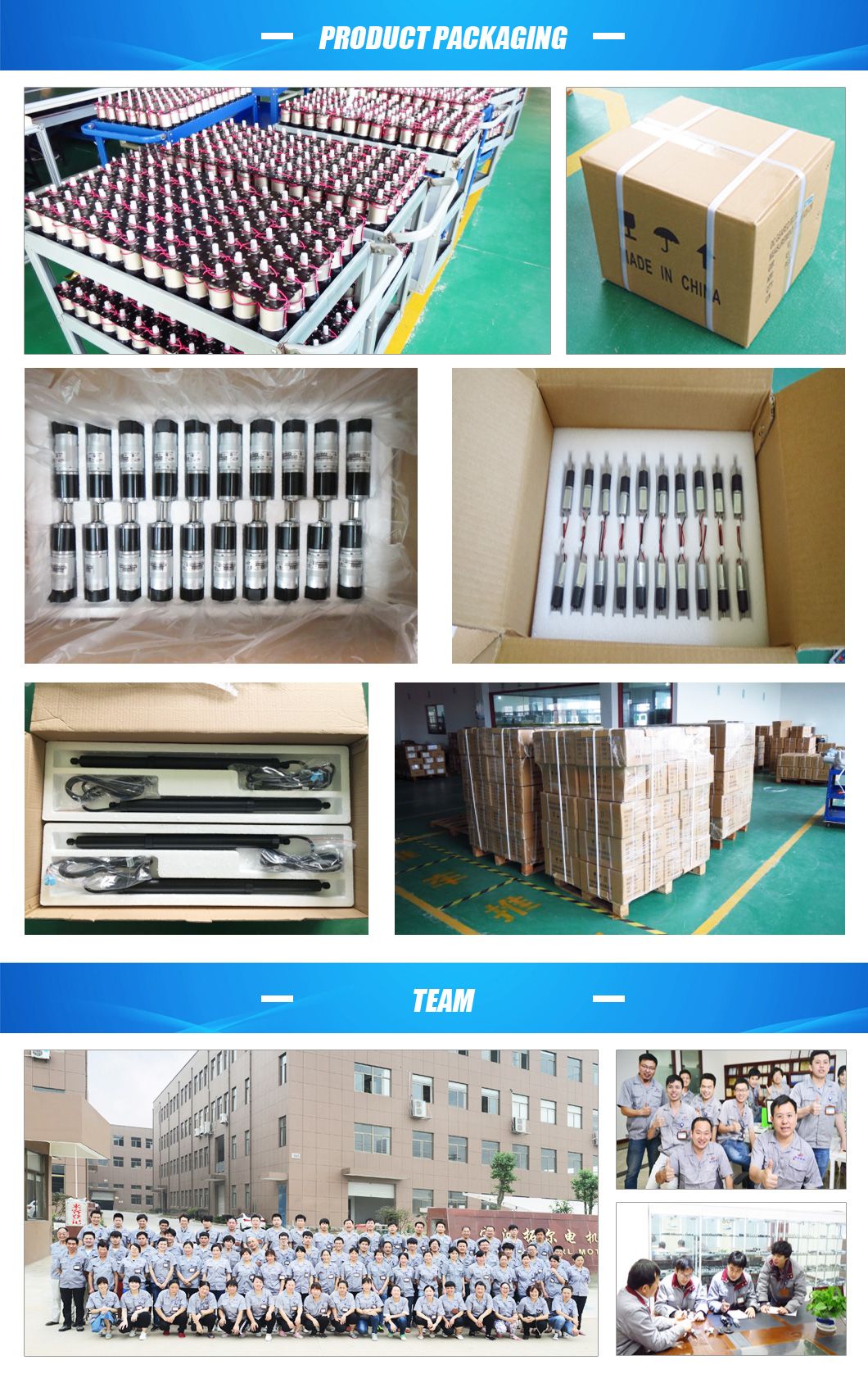 AC Gear Motor with High Quality Spur Gear (RF-YJ61)