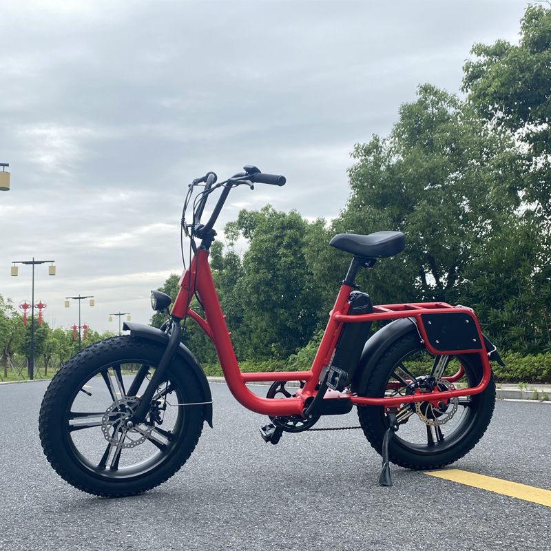 Lady Friendly Step Through Commuting Electric Bicycle