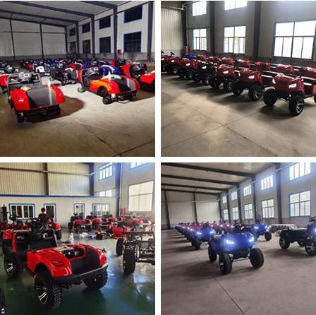48V 2/4/6/8/10 Seater/Seat/Passenger Lead Acid/Lithium Battery Electric Golf Cart