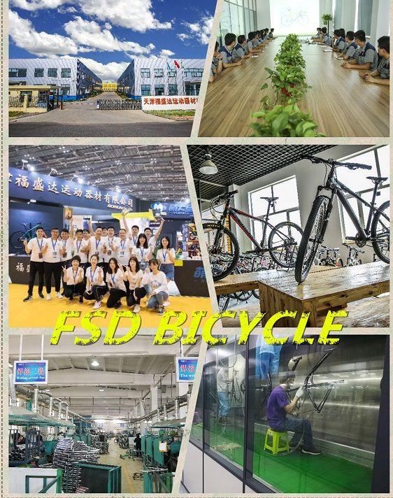 27.5&quot; Alloy Frame MTB Hydraulic Alloy Suspension Fork 22 Speed Bicycle OEM