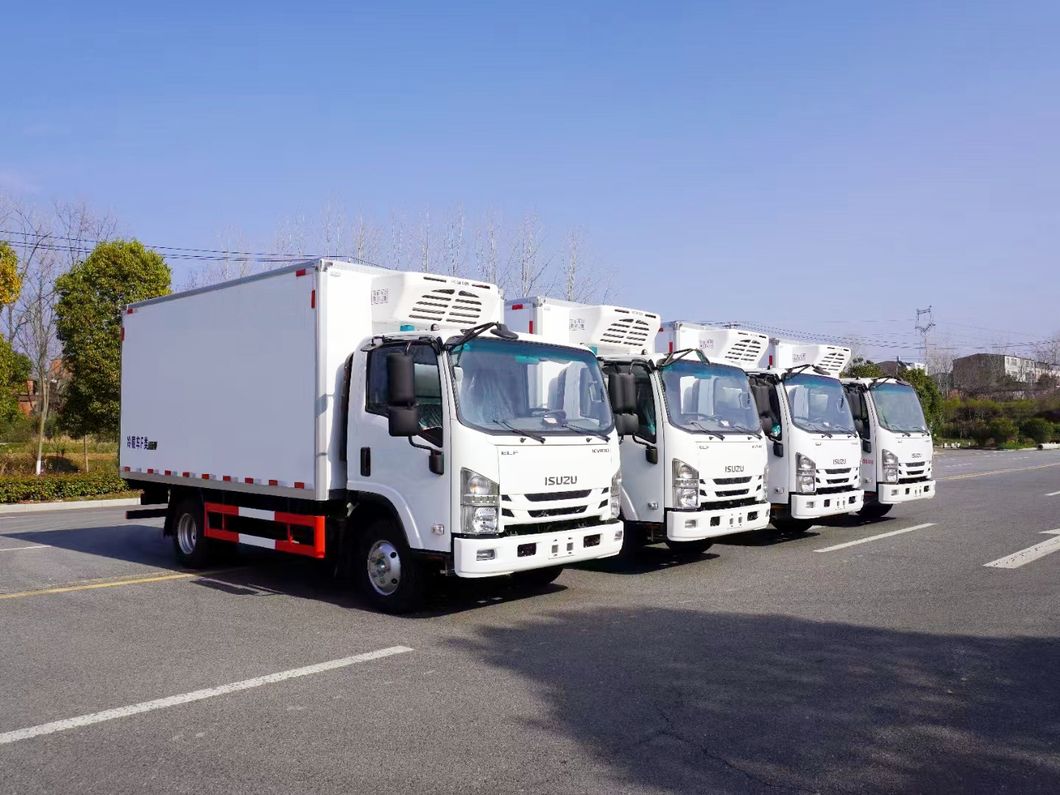 Isuzu 4X2 Reefer Refrigerated Light Duty Refrigerator Box Truck