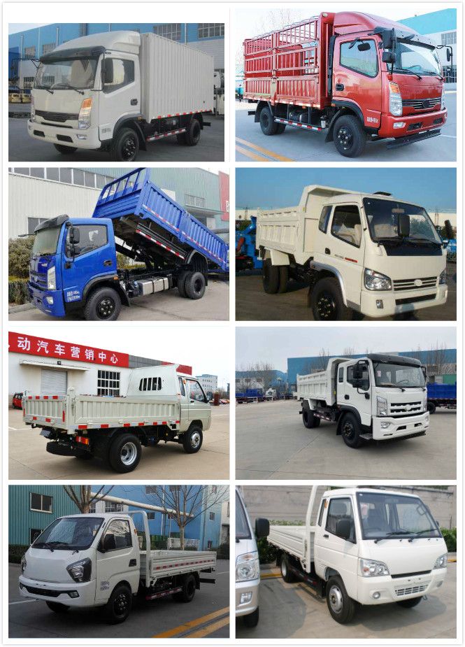 Dump/Tipper/Dumping Truck with Single Row Cab Gasoline Engine From China