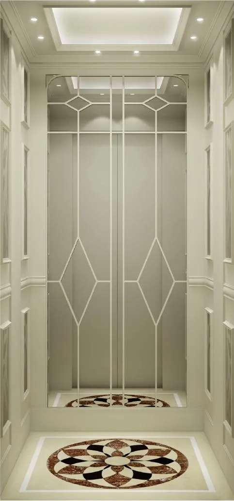 Advanced Energy Saving Manual Door Villa Home Elevator Lift