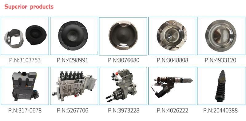 Diesel Fuel Injector 211-3025/10r-0955 Cat Diesel Engine C18/C15 Spare Parts Excavator Common Rail Injector 2113025 10r0955