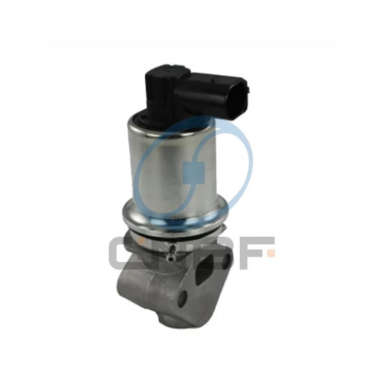 Cnbf Flying Auto Parts Egr Valve for Opel Eg10003-12b1 14903 17098055 5851024