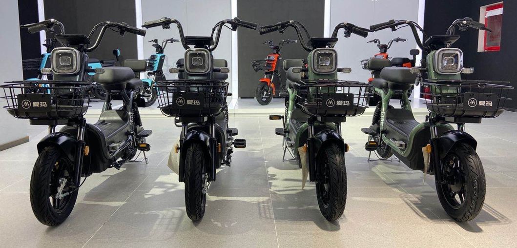 More Popular Electric Bike Patent Design Model Aima Tiny Madin P222 500W Motor with 48V24ah Removeable Lithium Battery