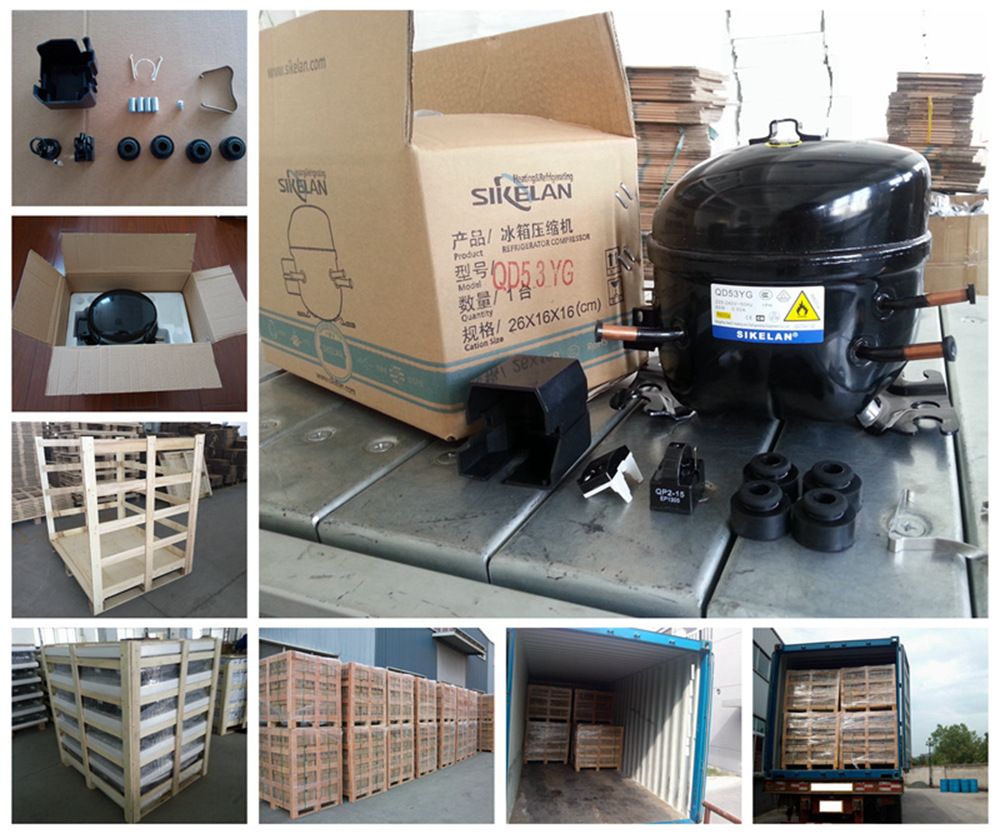 R600A DC Compressor 12V 24V Compressor Qdzy50g R600A Lbp for Car Refrigerator Freezer