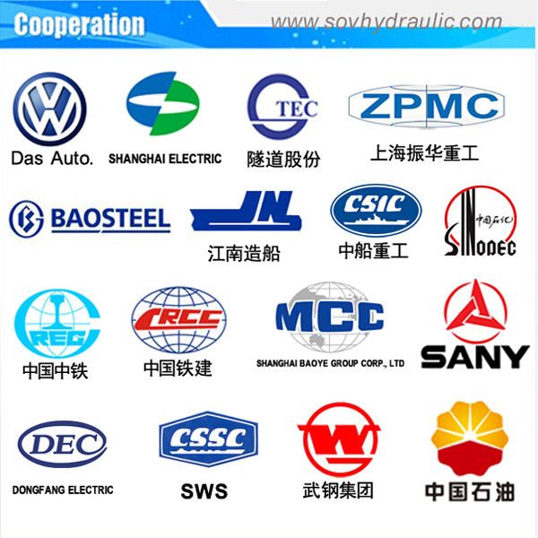 Fast Delivery Rsm Series Ultra Thin Hydraulic Jack