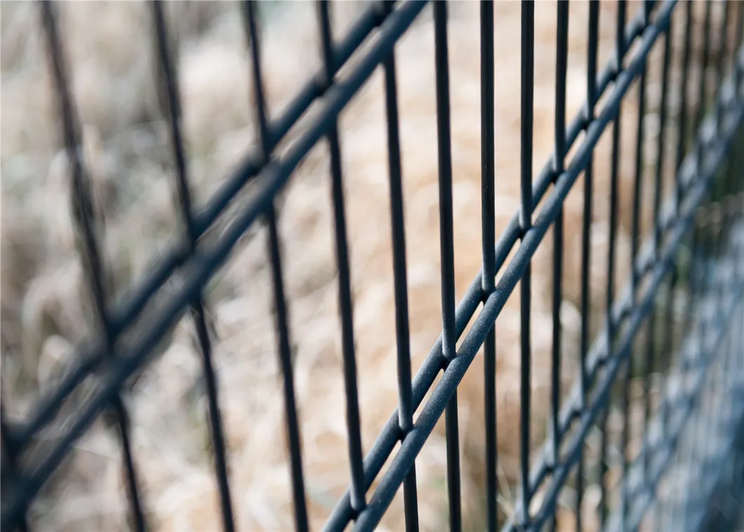 Powder Coated 2D Panel Fence Wire Mesh Panel Galvanized Steel Double Wire Fence Farm Fence Twin Wire Fence Twin Wire Mesh Fence