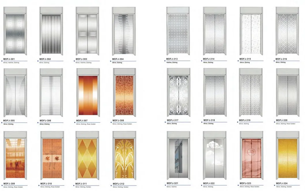 Modern FUJI Jpn Villa Lift Home Elevator for Your Fancy Villa Made in China with High Quality and Good Service