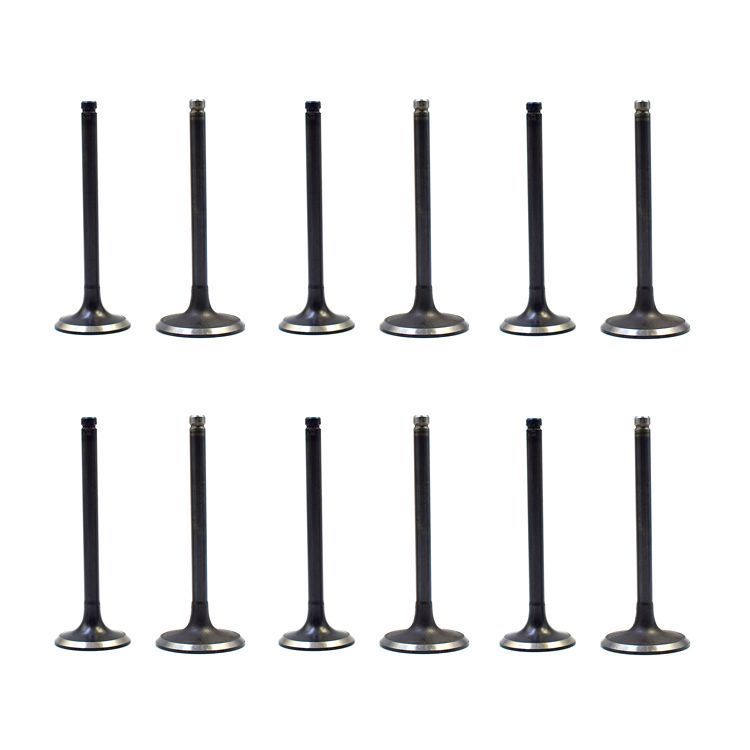 Qd32 Engine Part 13201-1W400 Intake Valve for Nissan