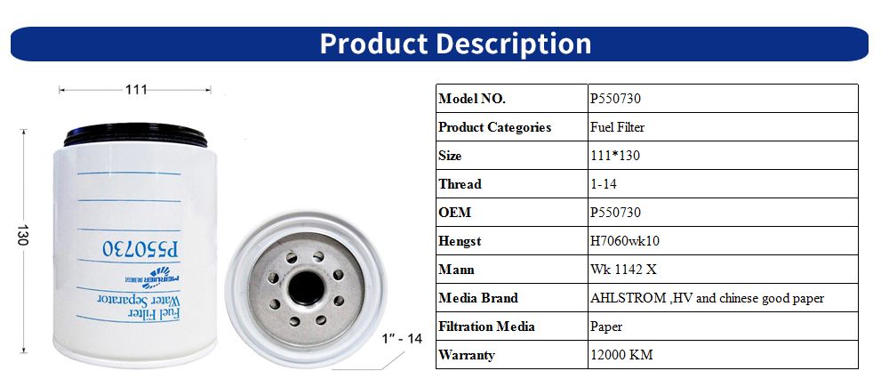 Auto Spare Parts Trucks Fuel Filter for Renault Engines P550730